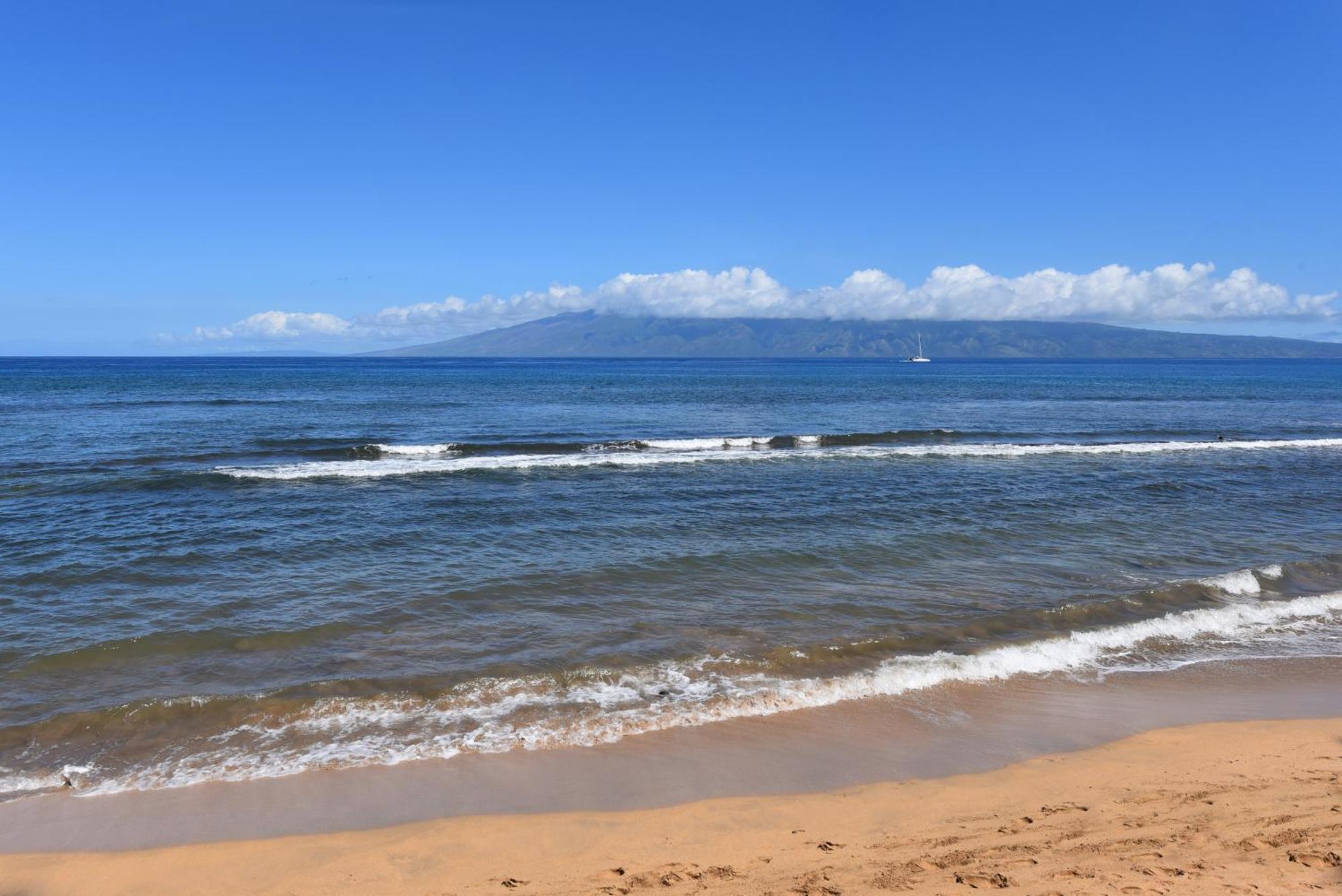 Kaanapali Shores 160 - Sleep Steps Away From The Ocean Kahana Exteriör bild